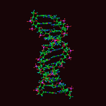 Apa Itu DNA dan RNA
