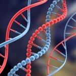 Translasi DNA
