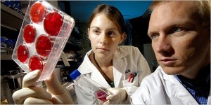 Stem Cells Bisa Dibuat dari Darah