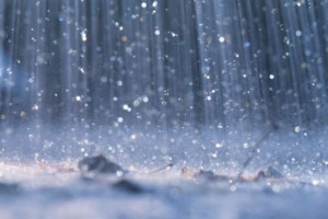 Tips/ cara Mencegah penyakit di musim hujan