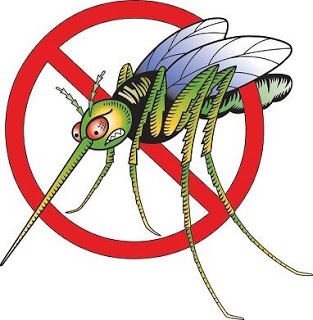Tips Sederhana Cara Menghilangkan Nyamuk 